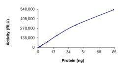 Sino Biological&nbsp;Recombinant Human EGFR Protein (L747S, GST Tag), Active